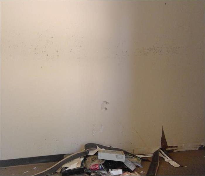 water damaged wall with mold visibly forming